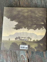 Load image into Gallery viewer, Brave old blue kids book