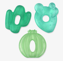 Load image into Gallery viewer, Cactus cutie baby teethers