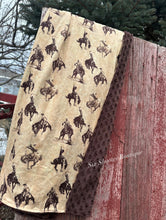 Load image into Gallery viewer, Wild ride baby Minky blanket