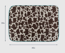 Load image into Gallery viewer, Giddy up baby blanket