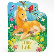 Load image into Gallery viewer, A little colt kids book