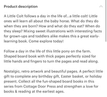Load image into Gallery viewer, A little colt kids book