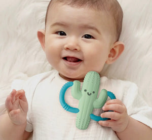 Cactus baby teether