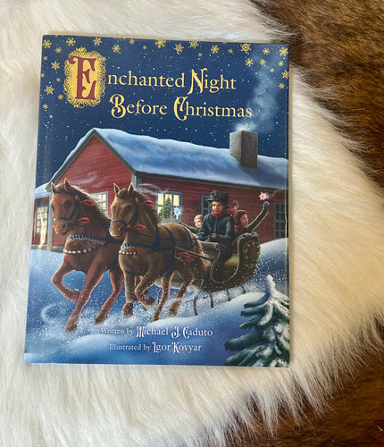 Enchanted night before Christmas book