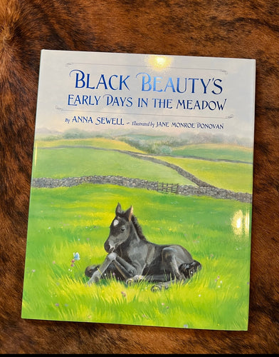 Black beauty’s early days in the meadow kids book